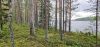 Hakkuusuunnitelma luonnonmetsässä Kuhmon Juortananjärven rannalla. Kuva (c) Luonnonmetsätyöryhmä/Aalto