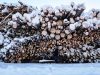 Erittäin järeää puuta ja pieniä rankoja sekaisin Vapon haketerminaalissa Mäntsälässä 24.1.2019