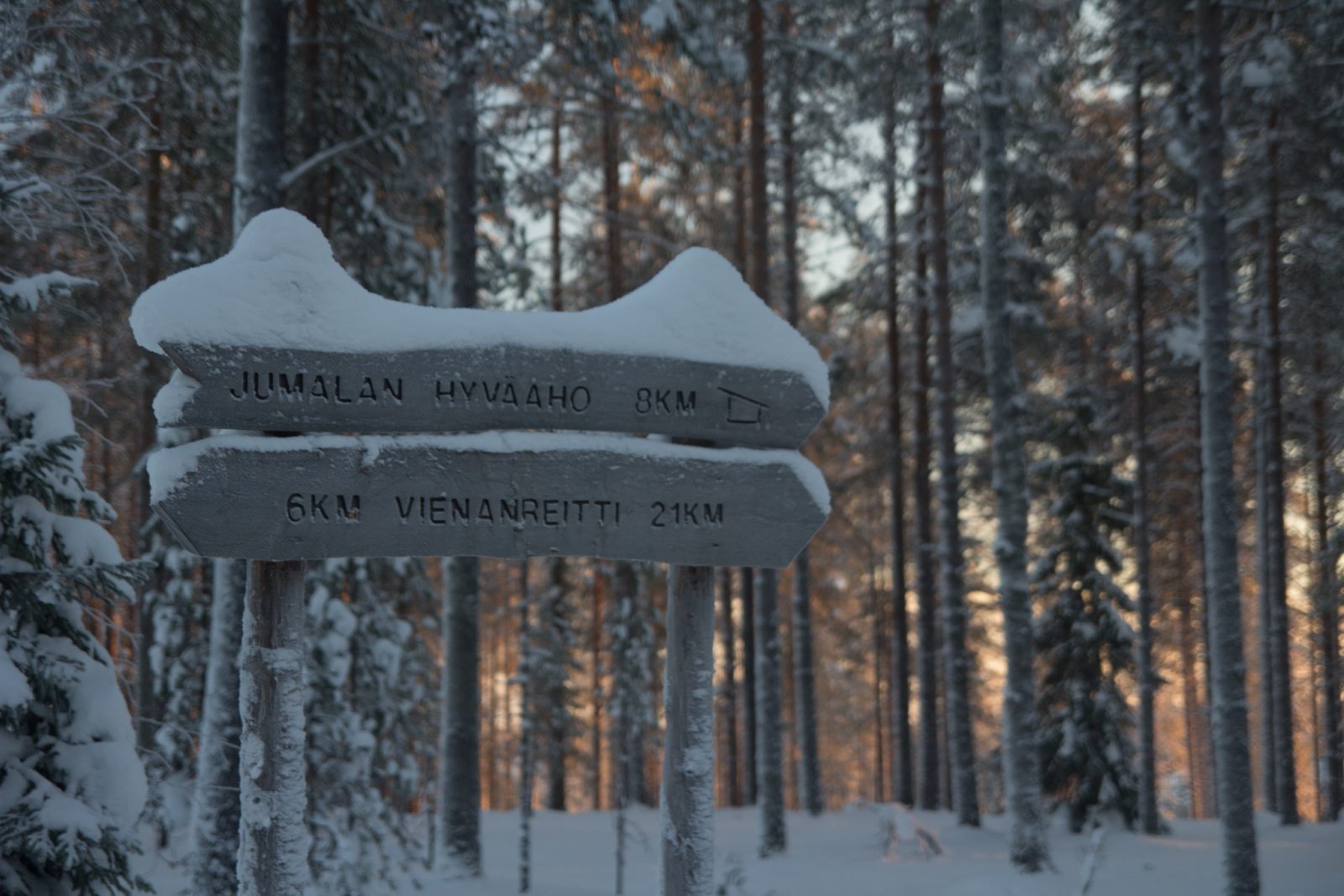 161212 Kainuu Metsahallitus Vienan Reitti 12