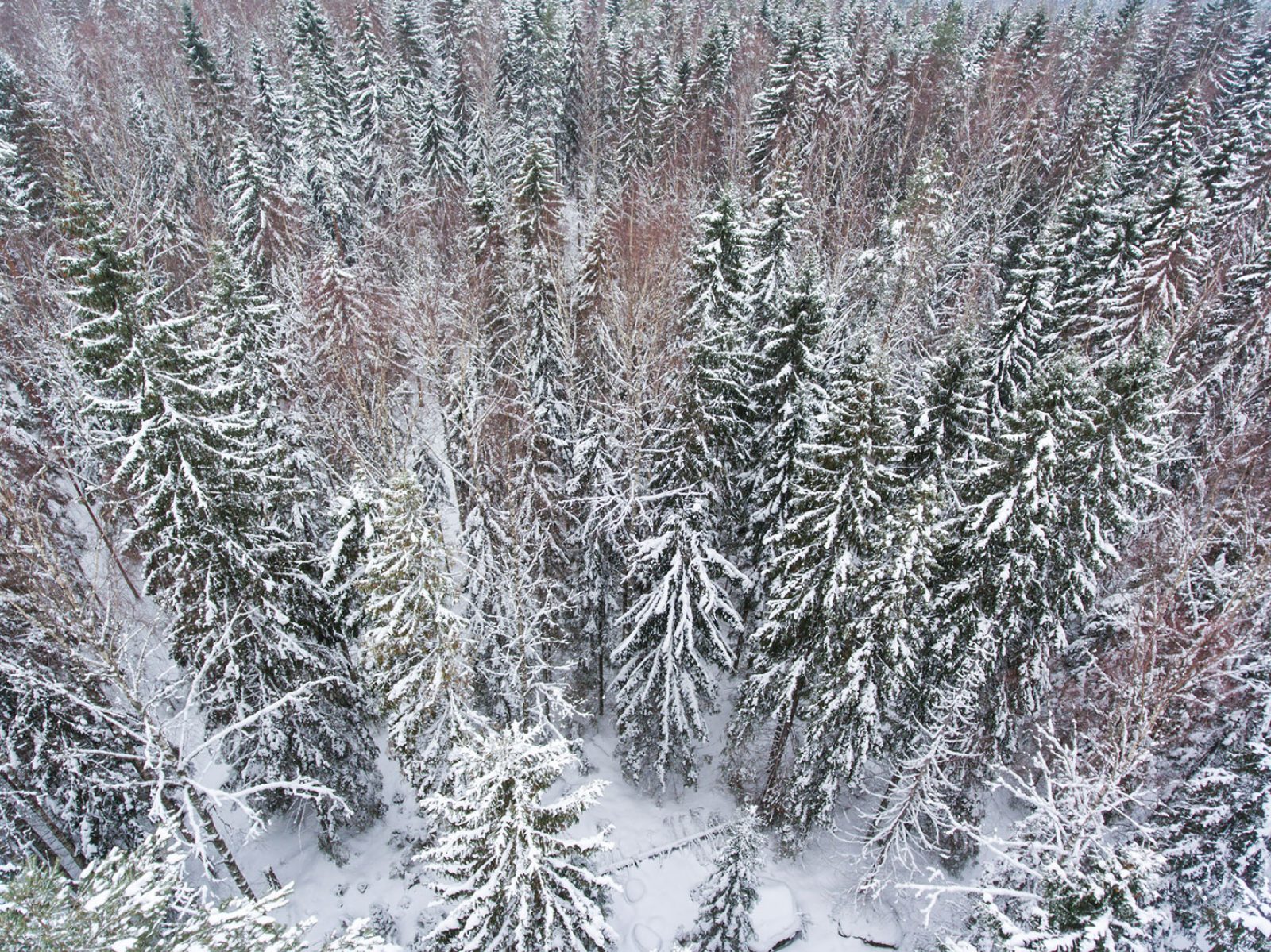 2018 02 16 Lapinjarvi 2 Of 38 Web