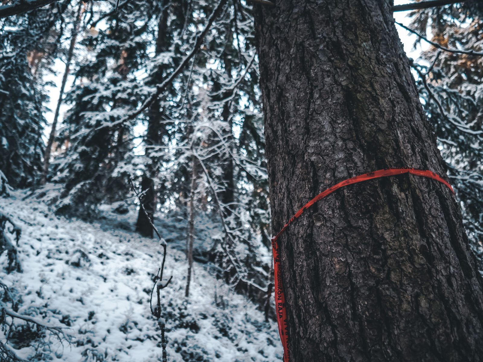 2019 11 29 Upm Taruksen Retkeilyalue Karhumaki 25