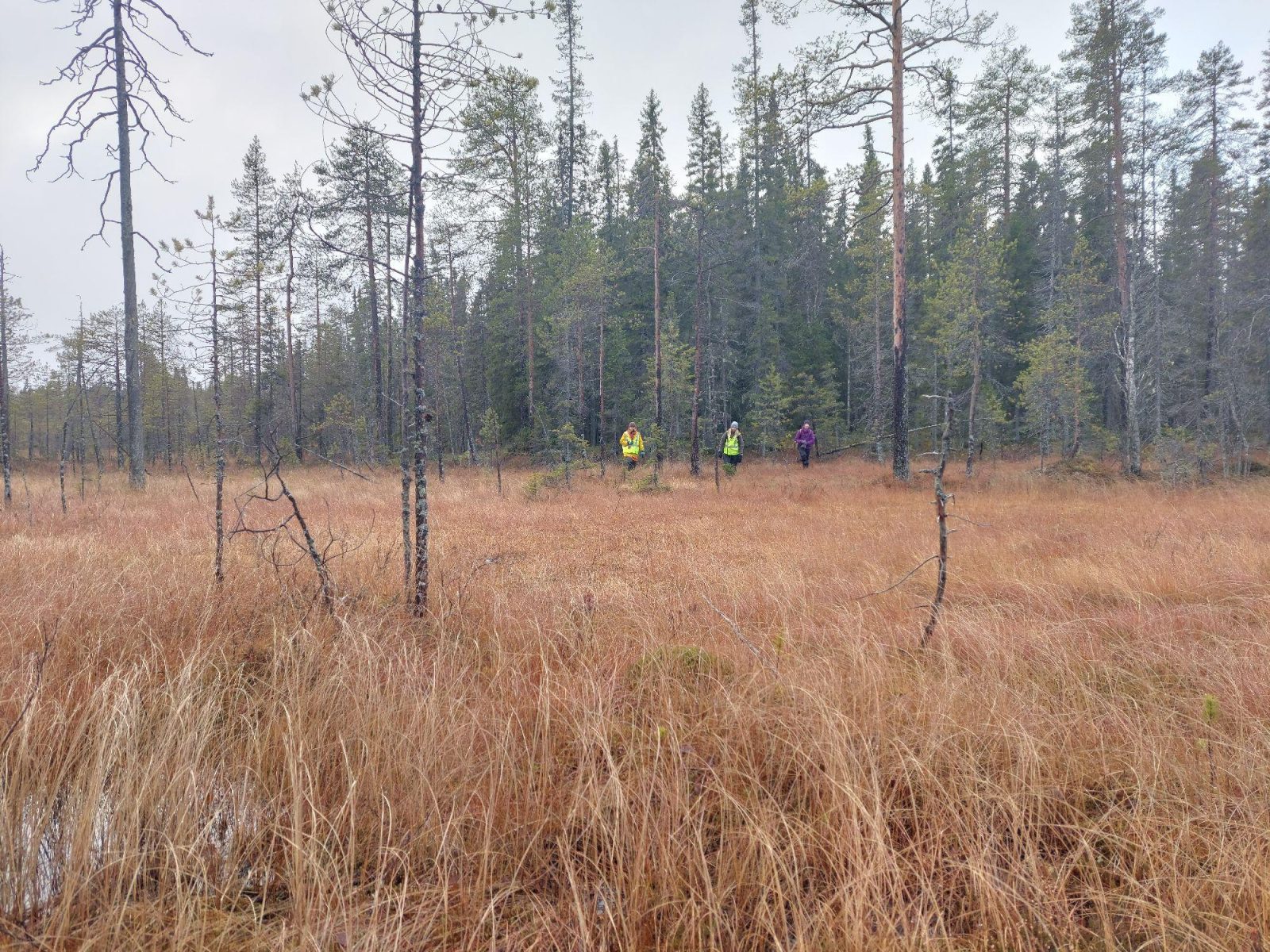 Luonto-Liiton metsäryhmäläisiä Karttimonjoella 18.10.2021. Kuva: Esa Moilanen