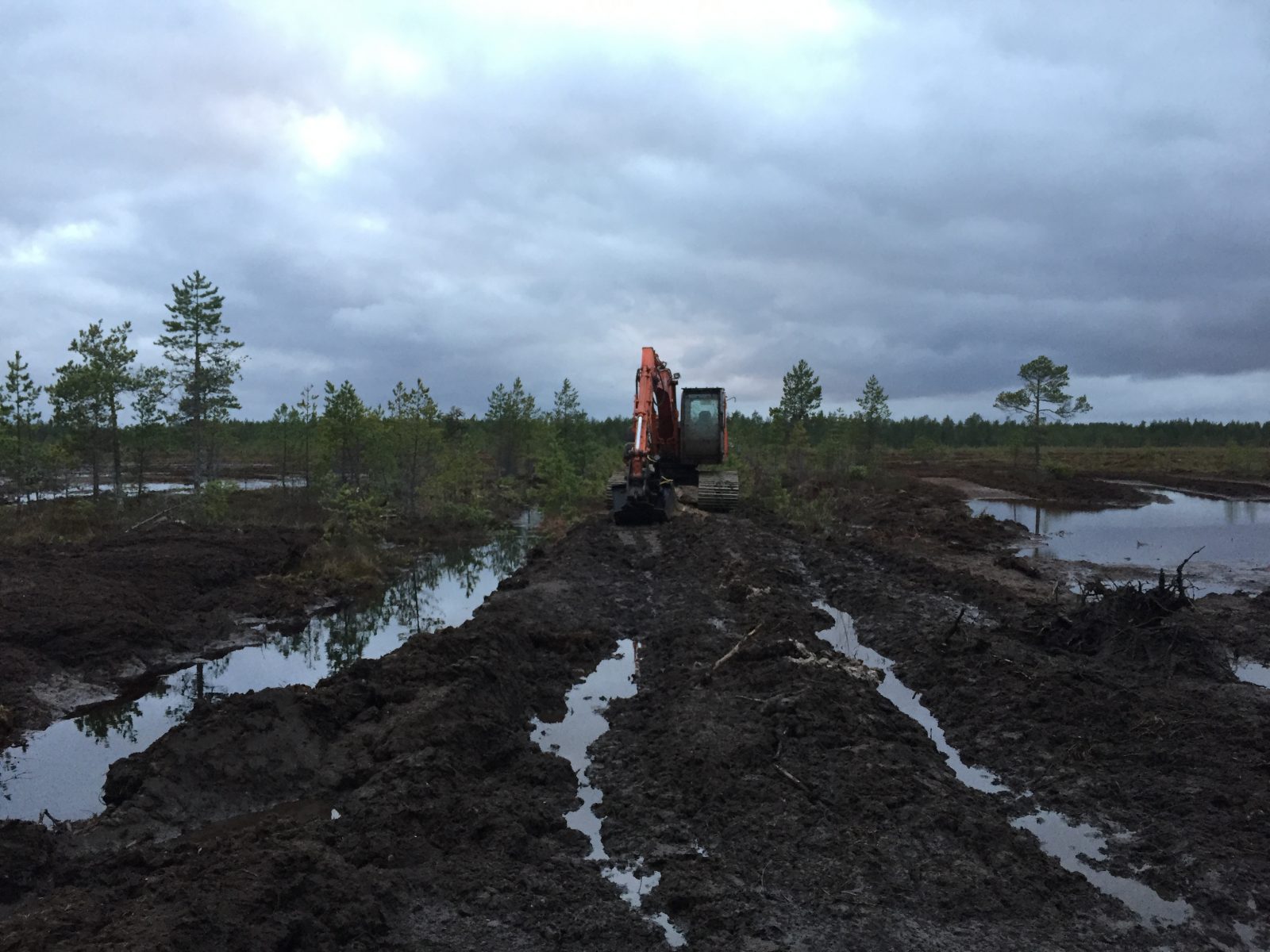 54 Bdbf52 F40 B 4177 8 Eda 45838 C0 B20 Ce