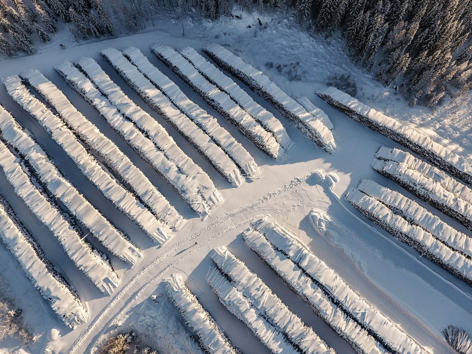 Family Timberin varastoalue Hollolassa