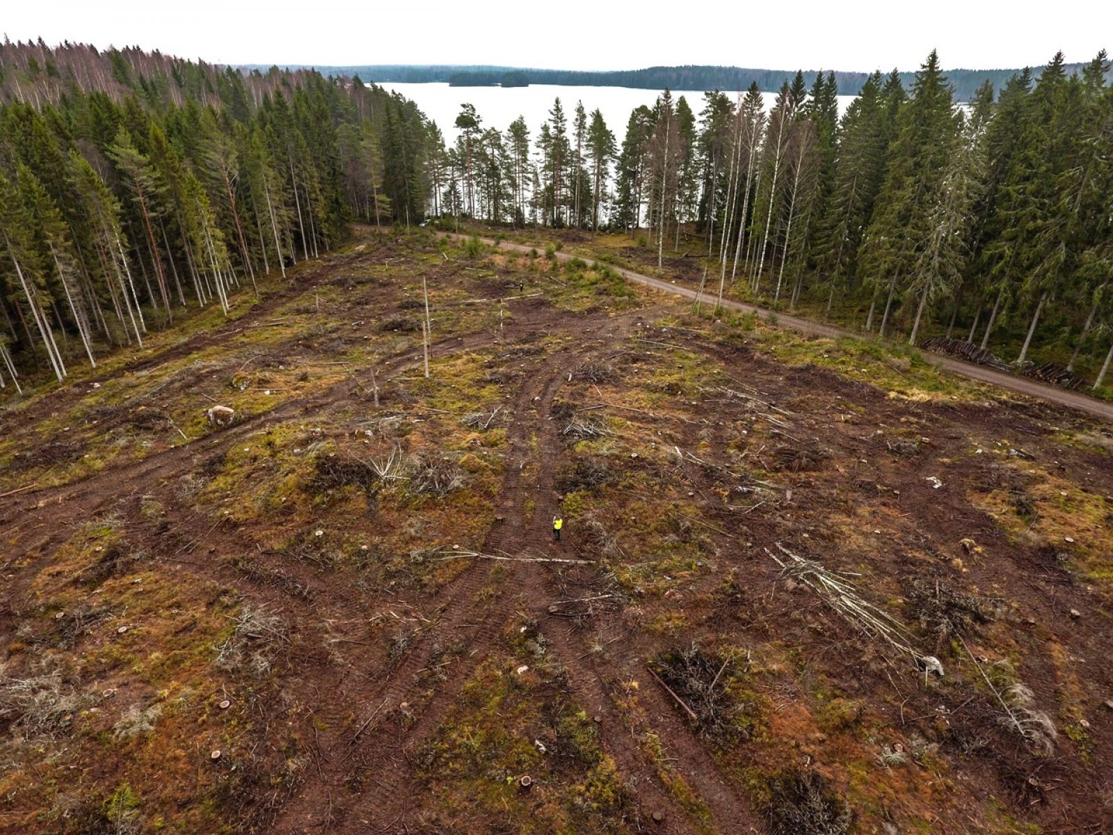 Vahermanjärvellä sijaitseva maisemakohde.