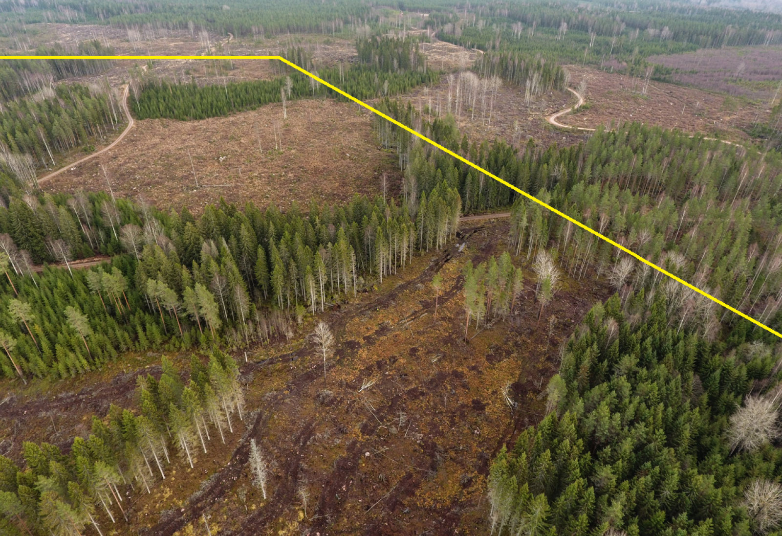 Virkistysmetsää Keihäsjärvellä. Keltaisen viivan sisäpuoli on "erityisalue, jolla huomioidaan retkeily ja ulkoilu".