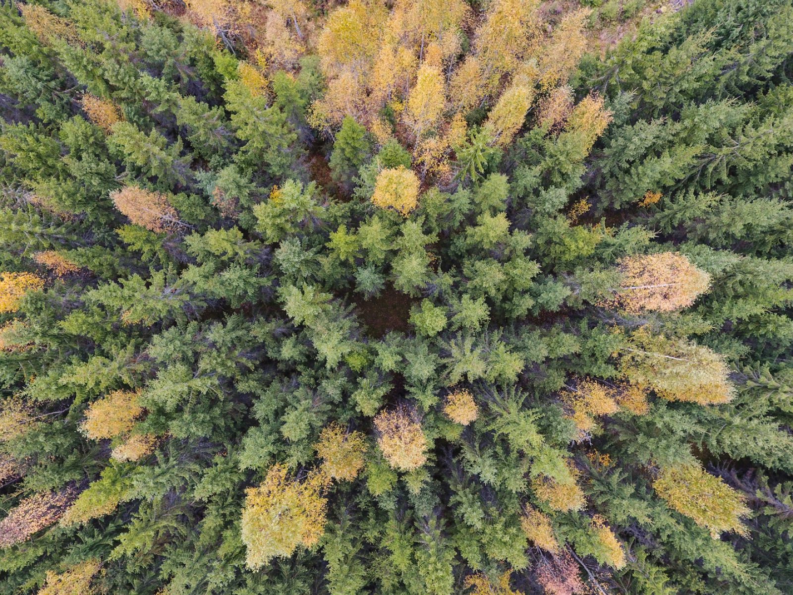 Evo Makro Upm  Etela Suomi1