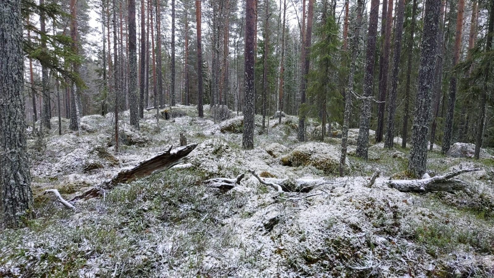 Pässiluolat, Kivijärvi