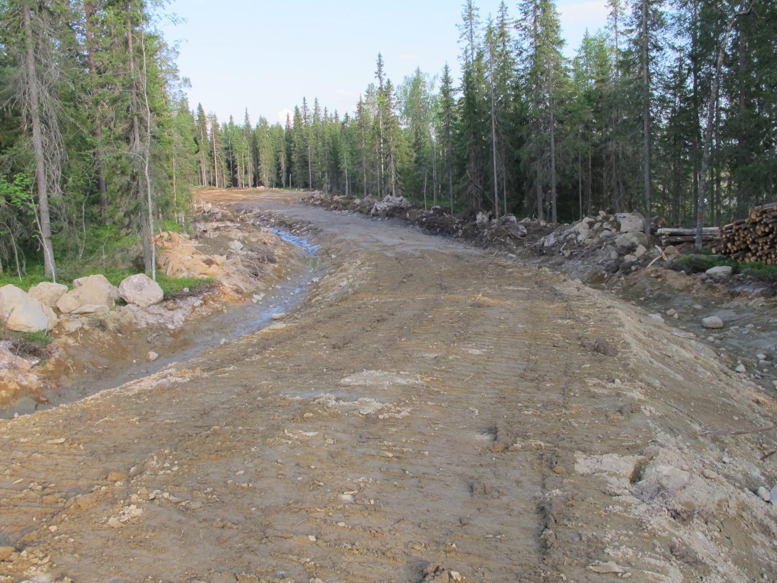 Ilmastohyödyllinen metsityskohde Suomussalmella: Metsähallituksen avohakkuita varten rakennettu tienpätkä liito-oravametsässä.