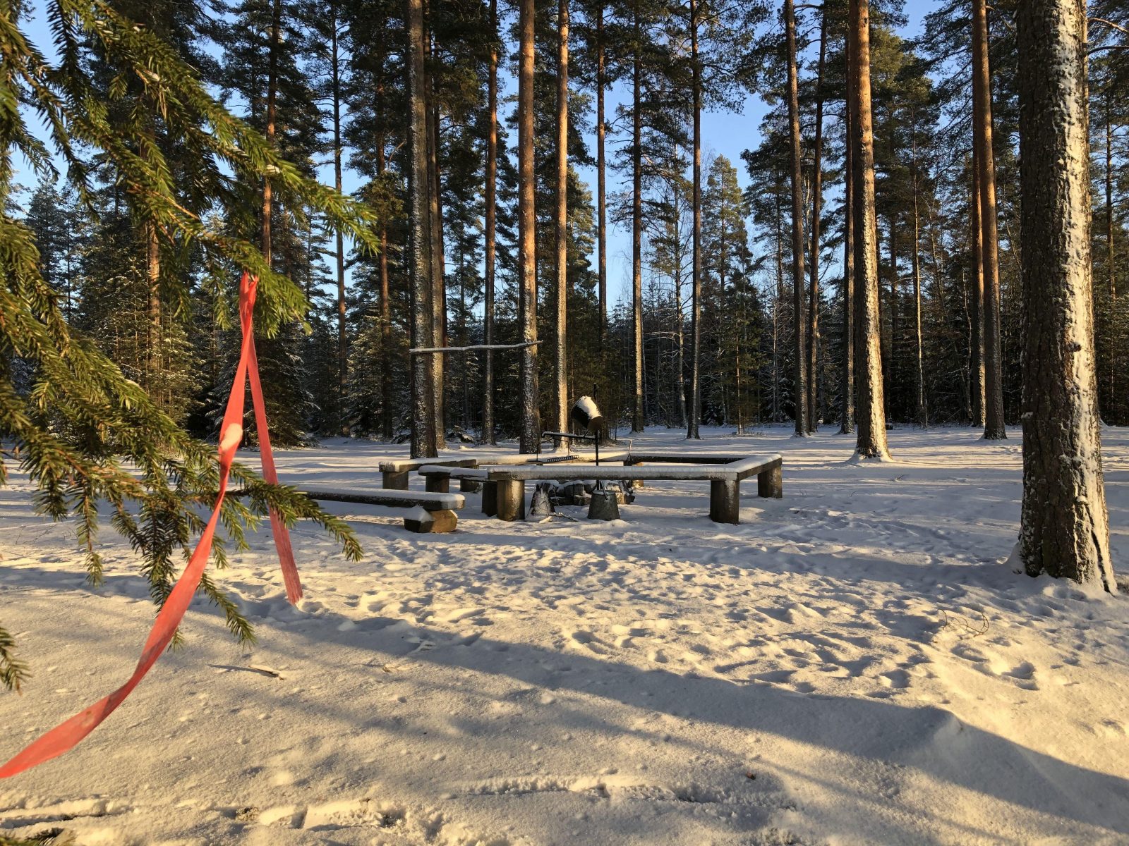 Iso-Taruksen pohjoisrannan metsikössä on leiripaikka, nuotiopaikka, roskien lajittelupiste, opastetaulut ja parkkipaikka. Opastetauluja lukuunottamatta nämä jäävät suunnitellulle avohakkuualueelle.