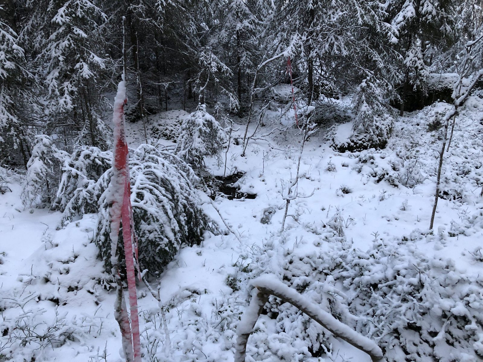 Avohakkuun reunanauhat lähellä Kelkutteenojan puroa, soidensuojelun täydennyskohteella. Maastossa on havaittavissa lähteisyyttä, mutta avohakkuussa ei tässä ole jäämässä varjostavaa reunapuustoa.