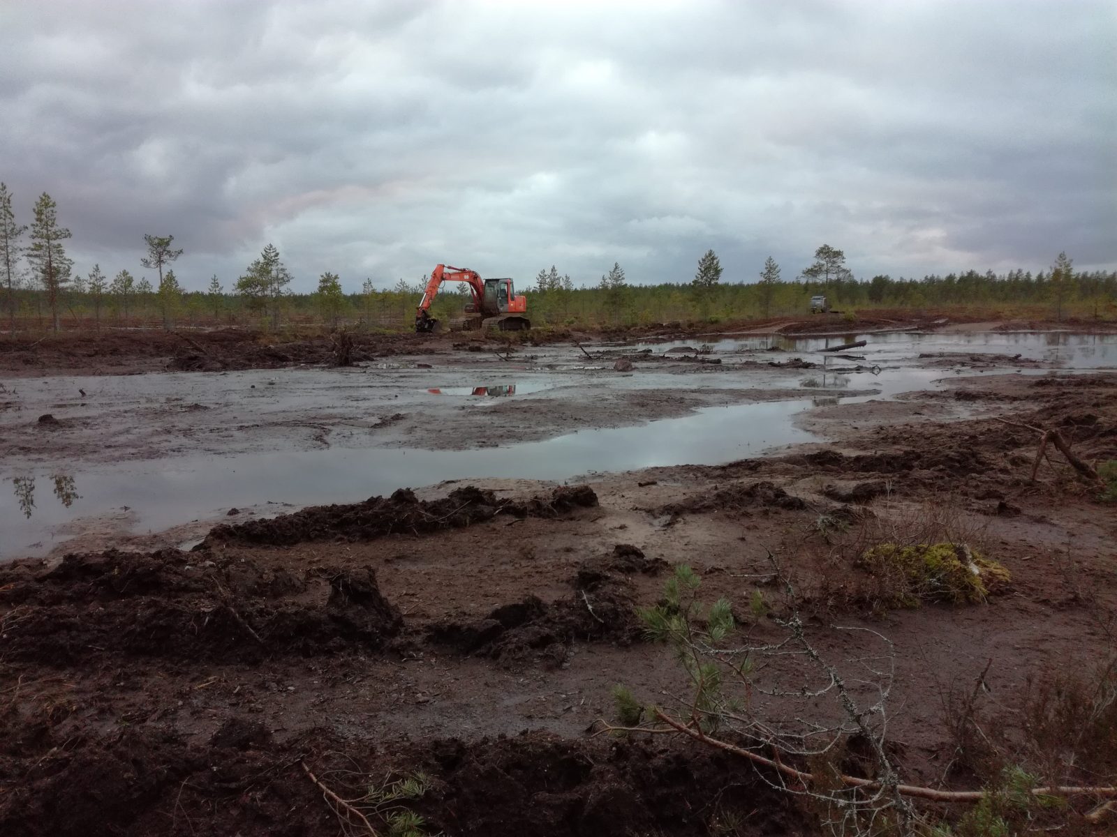 Kivisalmenneva 20201029 161350