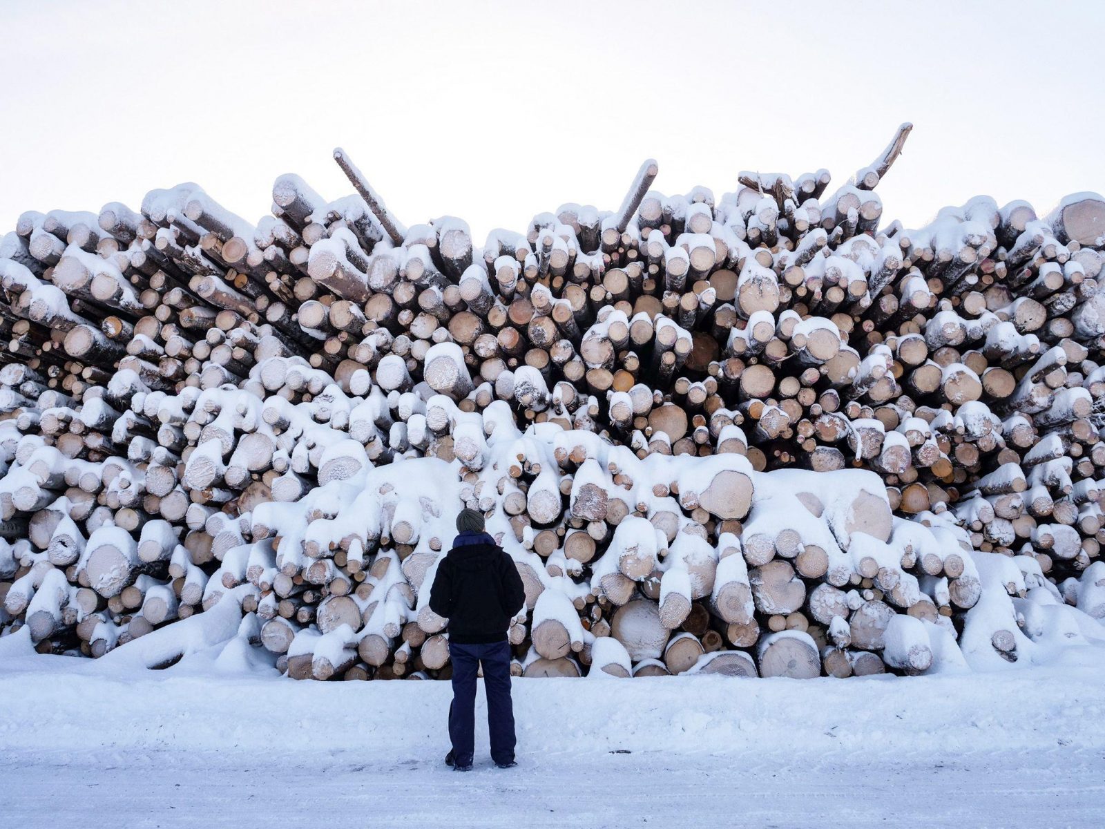 Hakevuori Oy:n energiapuupinoja Askolassa 24.1.2019