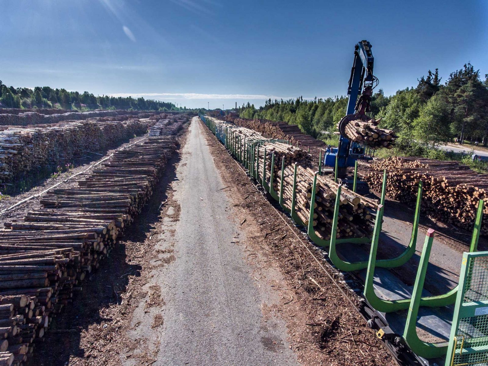 Ilmakehään päätyvät nettopäästöt Suomessa kasvavat 30 prosenttia lisääntyvien hakkuiden takia.