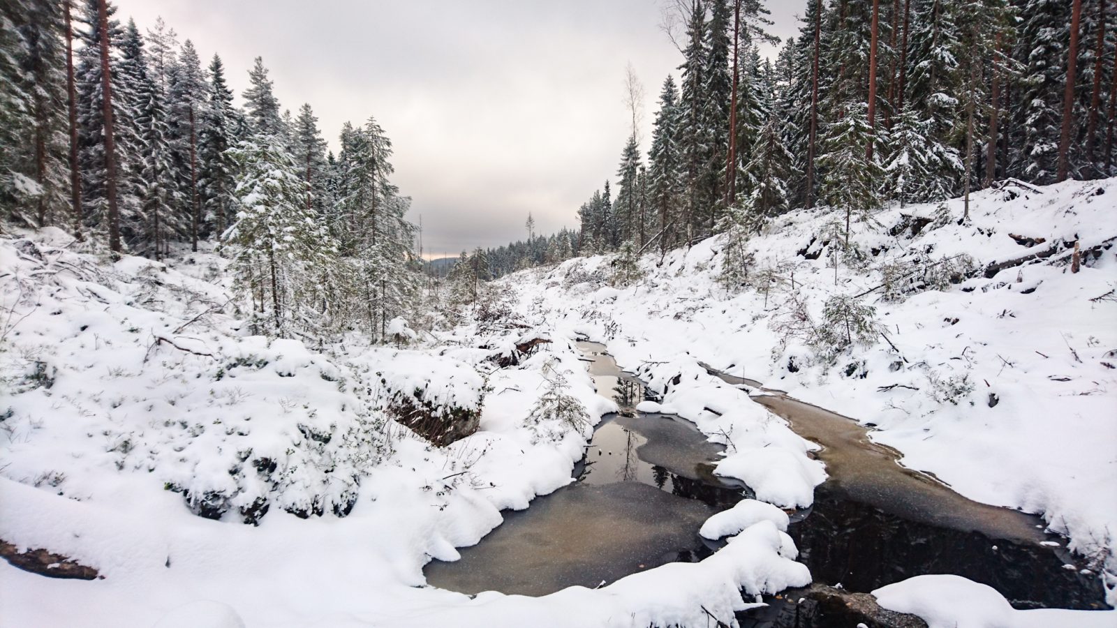 UPM:n avohakkuu puronotkossa, Helvetinjärvi, Ruovesi 27.10.2017