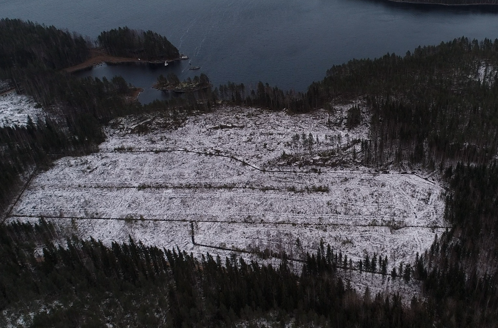 Mutalahti, Puumala. UPM:n avohakkuu, kuvassa tavallinen talousmetsä, Natura-alue ja yksityinen suojelualue. Sama avohakkuu, kaksi eri suojelutilastoa. Vrt. seuraavaan karttakuvaan.