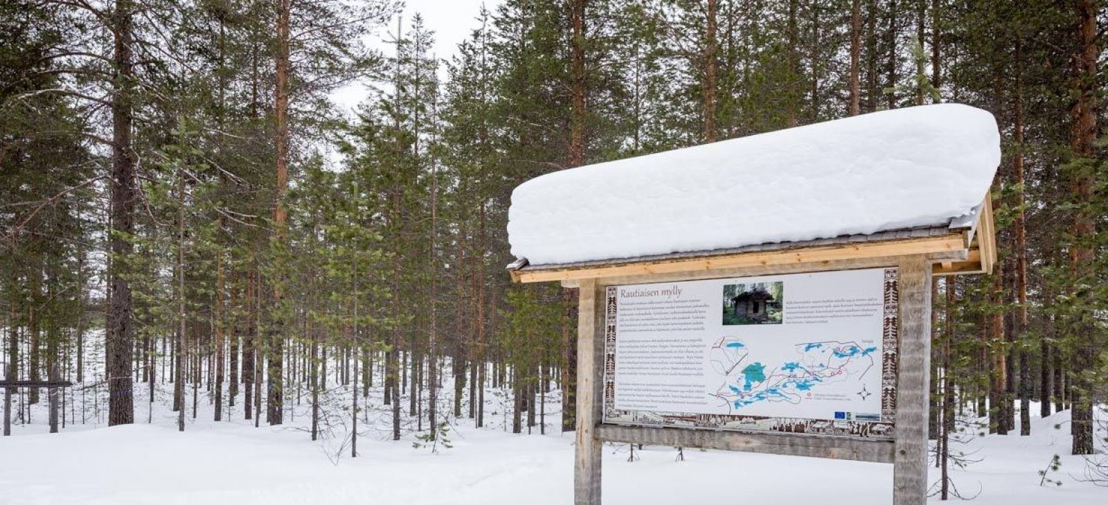 Rautiaisenmyllylle johtavan polun ympäristö on merkitty hakattavaksi. Taustalla näkyy vanha hakkuuaukko. Kuva: Risto Sauso