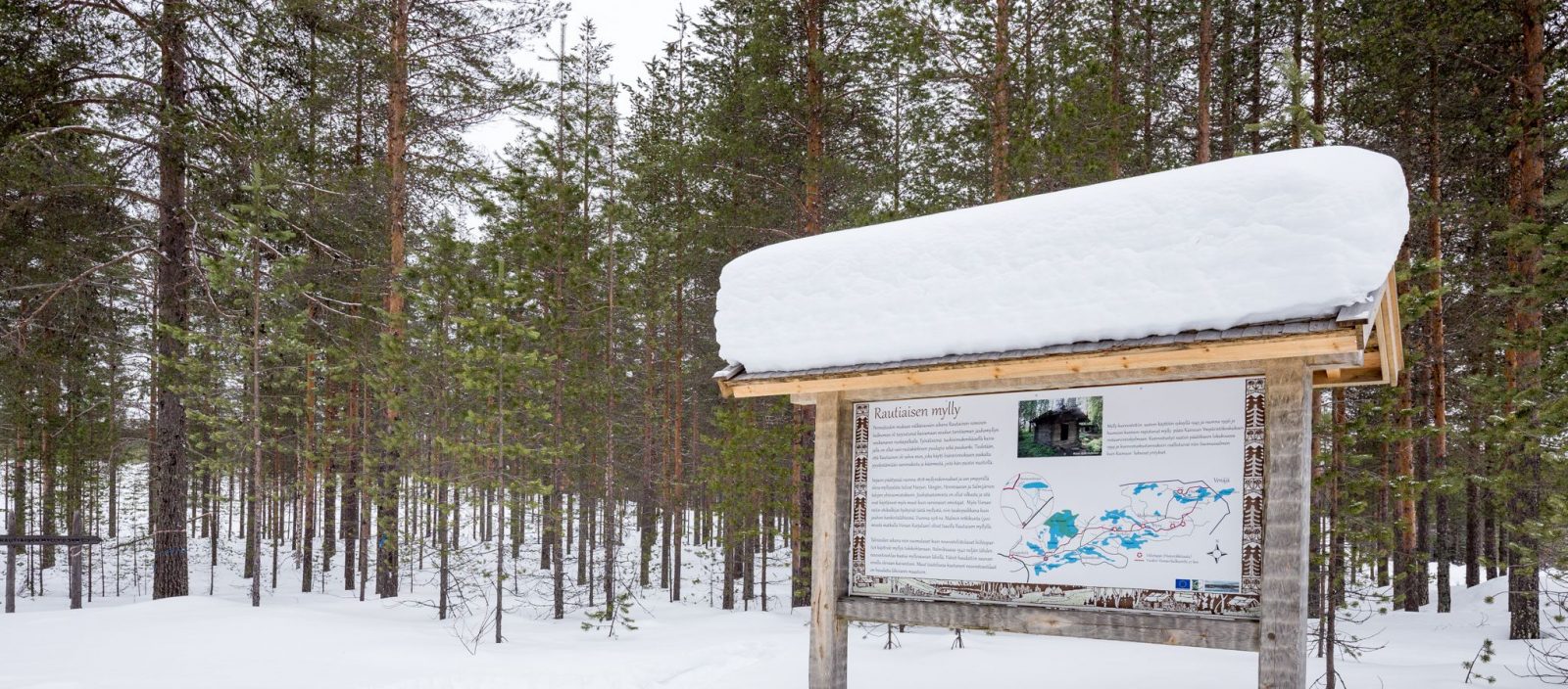 Rautiaisen myllylle johtavan polun ympäristö eli kaikki tässä uuden opaskyltin taustalla näkyvä metsä on merkitty nyt avohakattavaksi. Taustalla näkyy vanha hakkuuaukko. Kuva: Risto Sauso